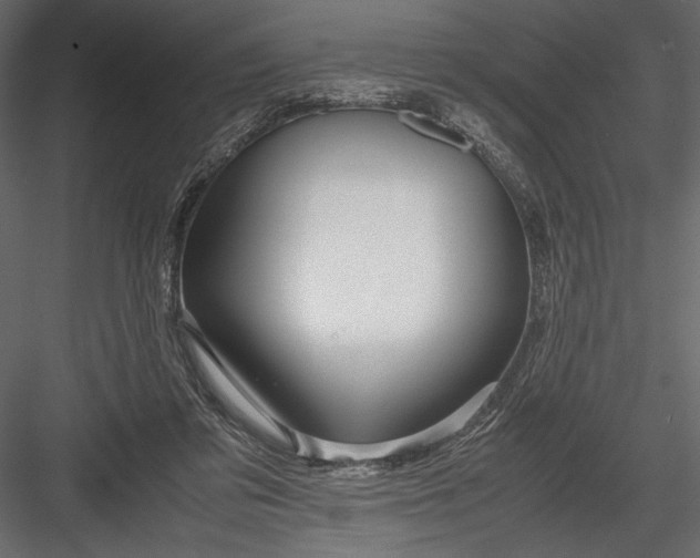 X0000082950309200702222320