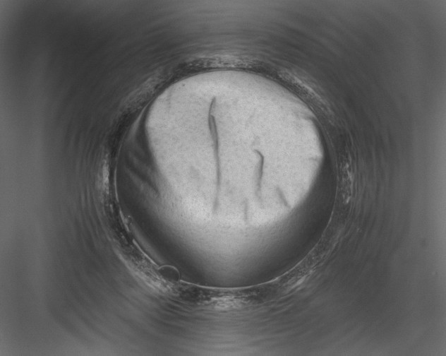 X0000082950310200702222320