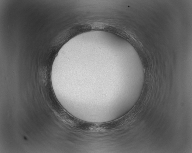 X0000082950311200702222320