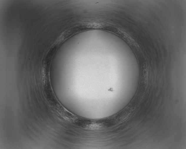 X0000082950312200702222320