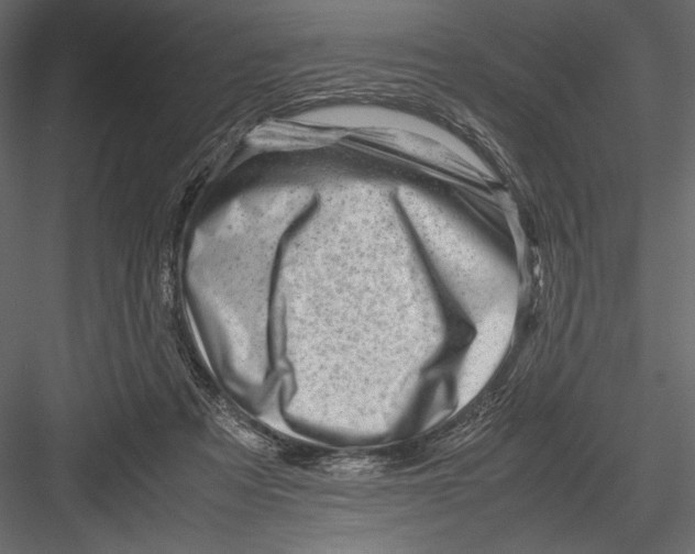 X0000082950313200702222320