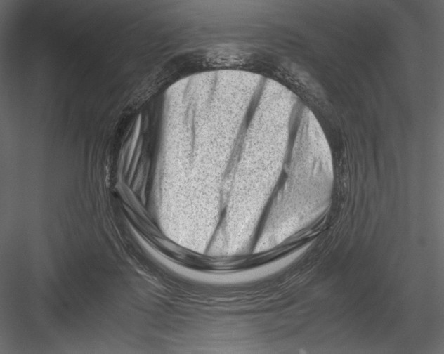 X0000082950315200702222320