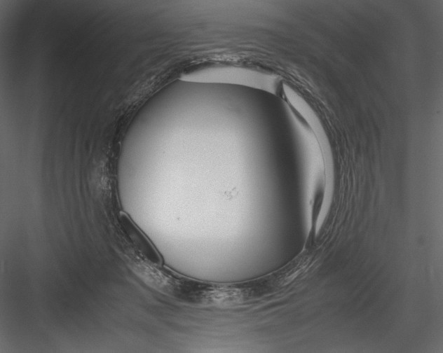 X0000082950317200702222320