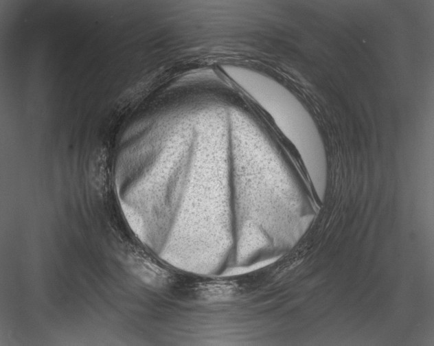 X0000082950318200702222320