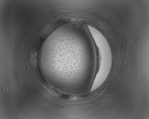 X0000082950319200702222320