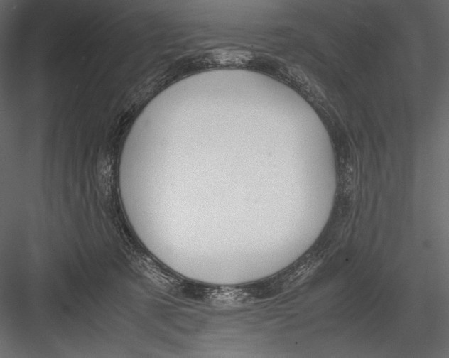 X0000082950321200702222320