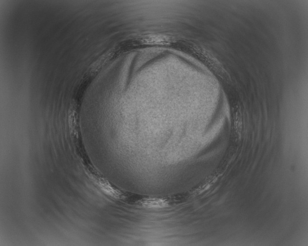 X0000082950322200702222320