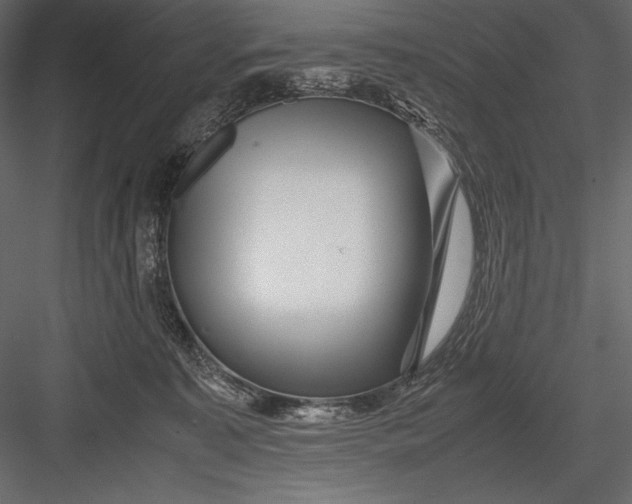 X0000082950323200702222320