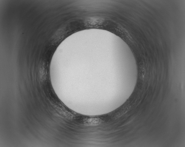 X0000082950324200702222320