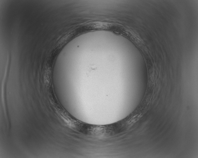 X0000082950325200702222320