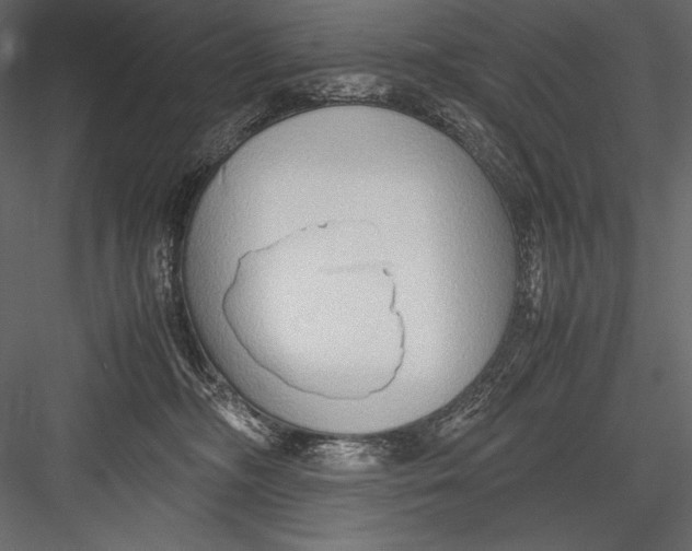 X0000082950326200702222320