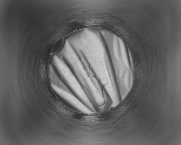 X0000082950327200702222320