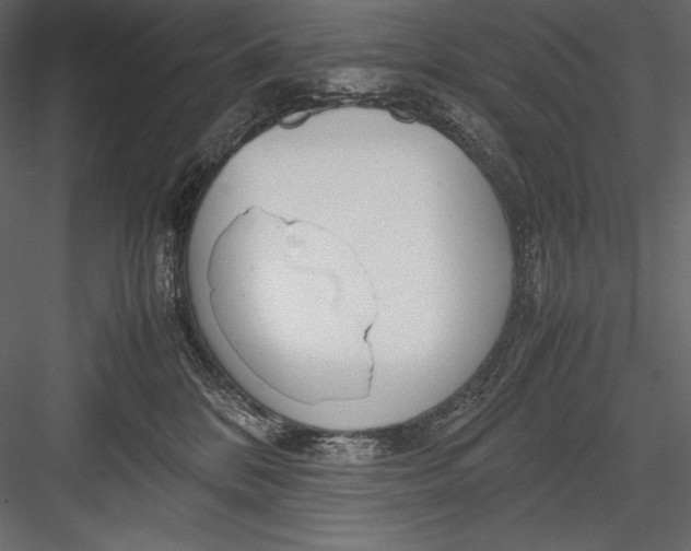 X0000082950328200702222320