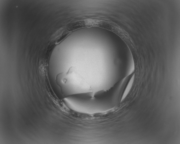 X0000082950329200702222320