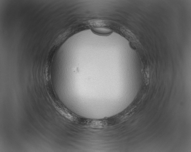 X0000082950330200702222320