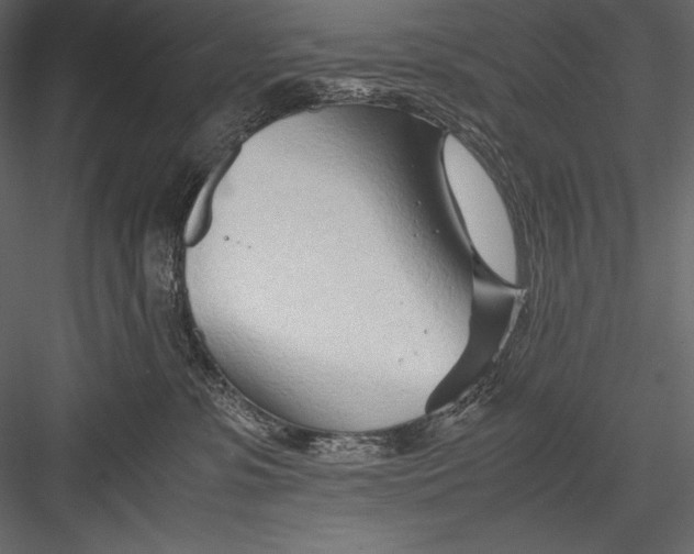 X0000082950331200702222320