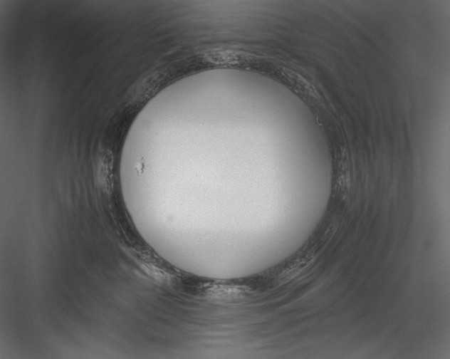 X0000082950332200702222320