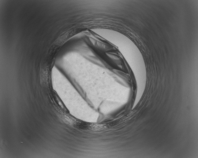 X0000082950333200702222320