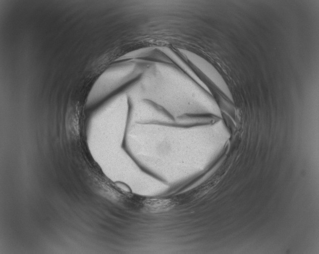 X0000082950334200702222320