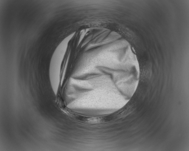 X0000082950335200702222320