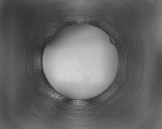 X0000082950336200702222320