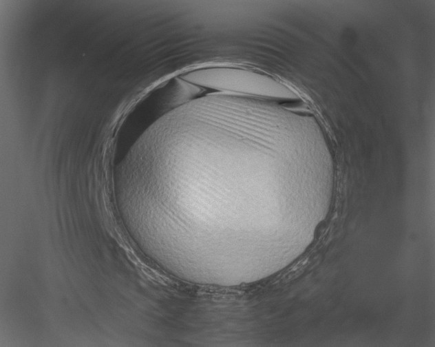 X0000082950337200702222319