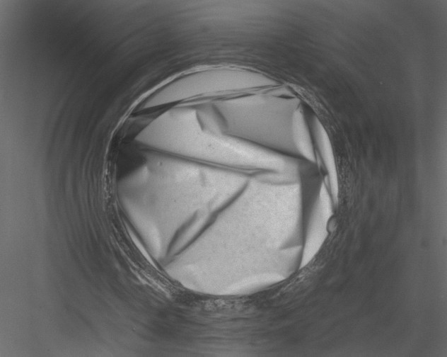 X0000082950338200702222319