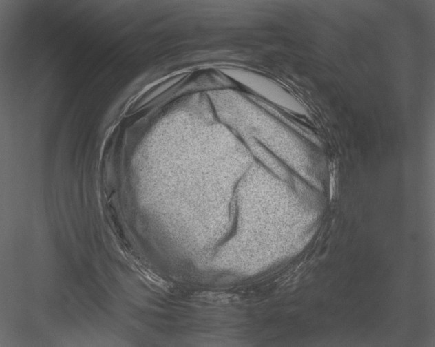 X0000082950339200702222319