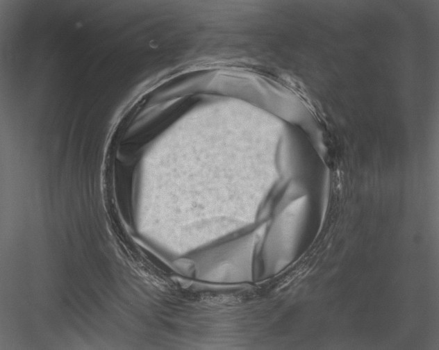 X0000082950340200702222319