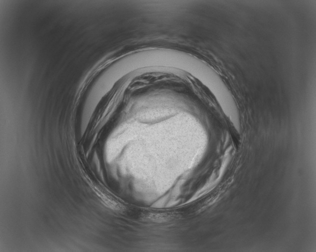 X0000082950341200702222319