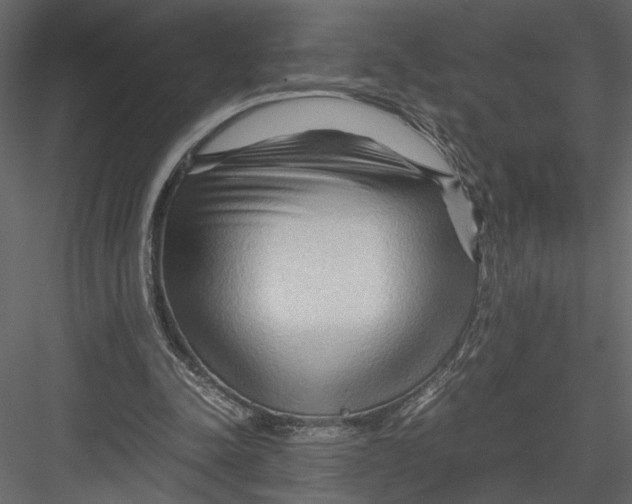 X0000082950342200702222319