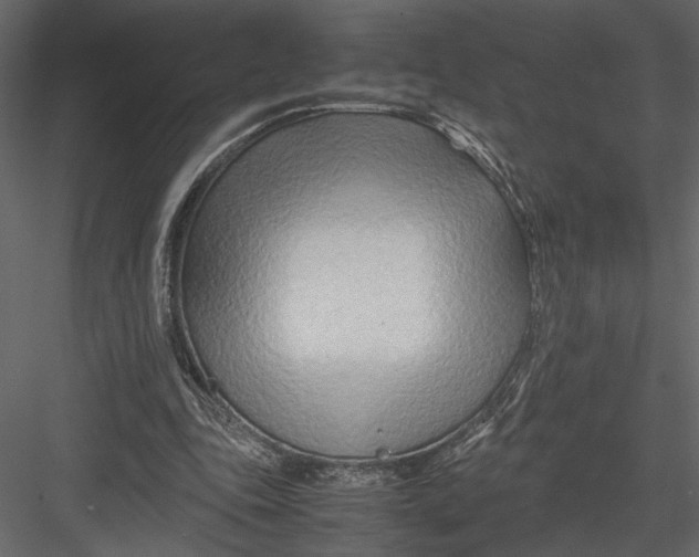 X0000082950343200702222319