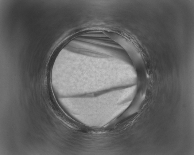 X0000082950344200702222319