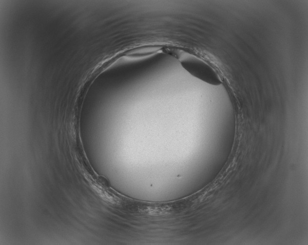 X0000082950345200702222319