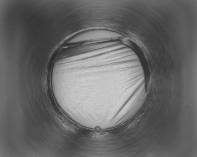 X0000082950346200702222319