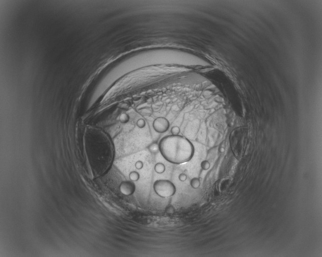 X0000082950347200702222319