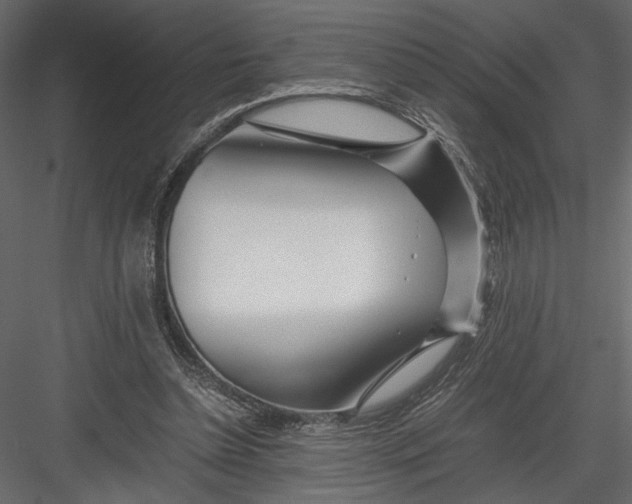 X0000082950348200702222319