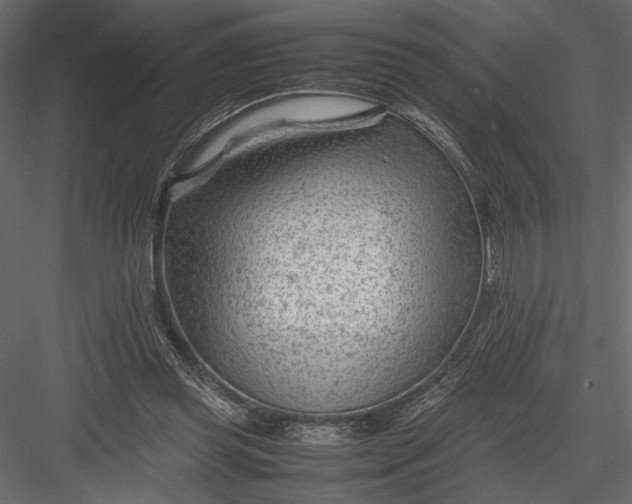 X0000082950349200702222319