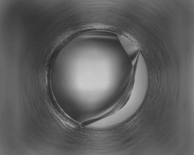 X0000082950350200702222319