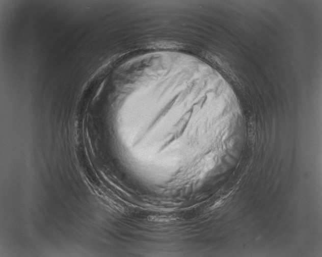 X0000082950351200702222319