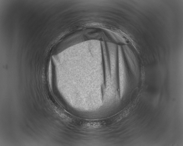 X0000082950353200702222319