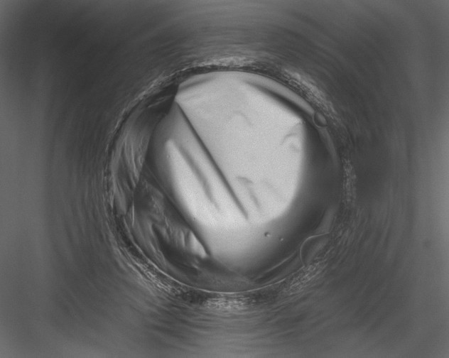 X0000082950354200702222319