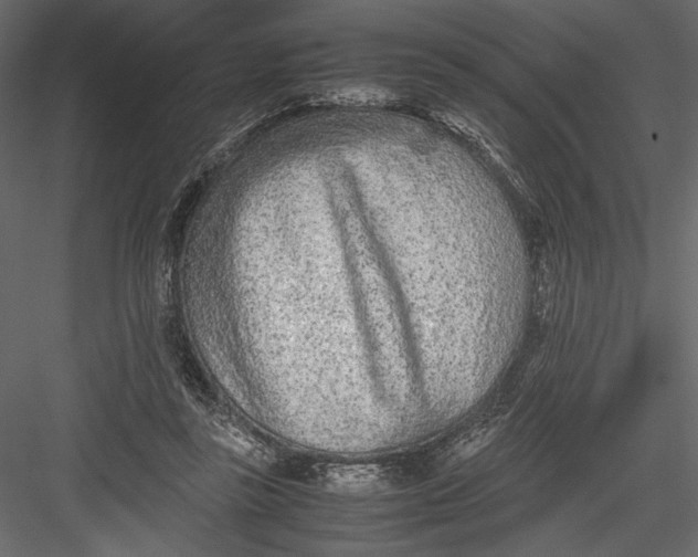 X0000082950355200702222319