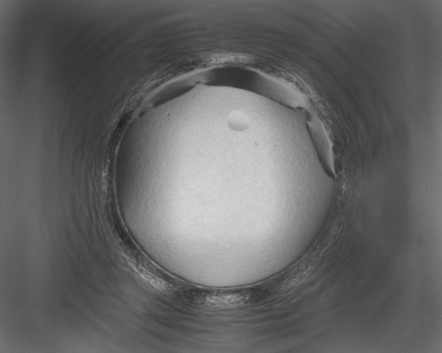 X0000082950357200702222319