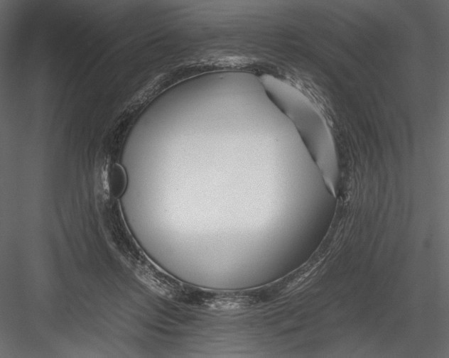 X0000082950358200702222319