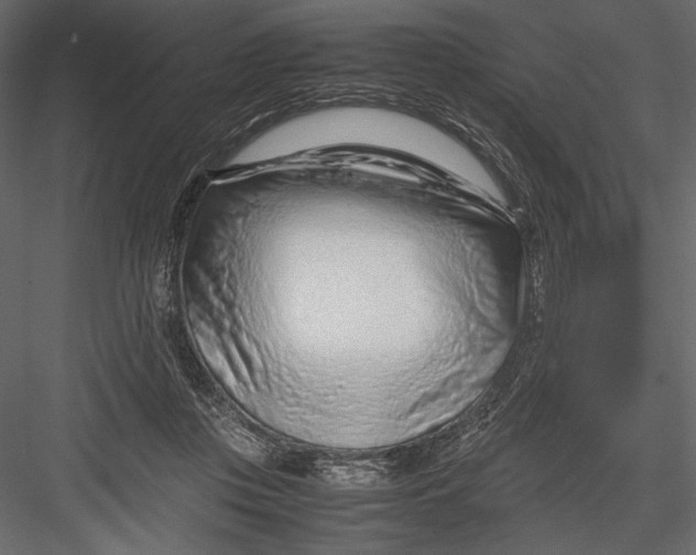 X0000082950359200702222319