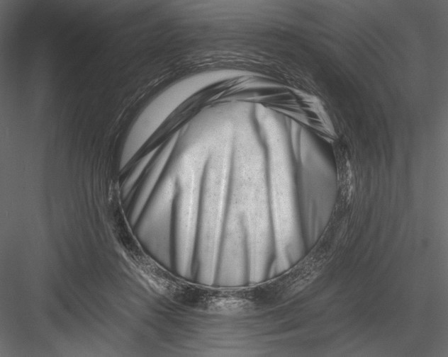 X0000082950360200702222319