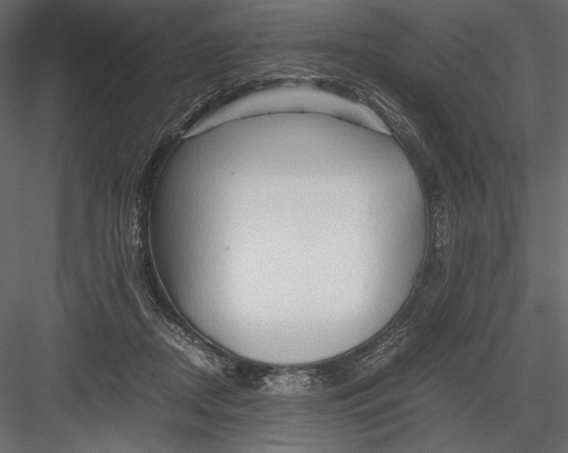 X0000082950362200702222319