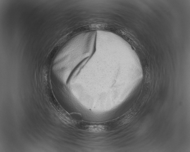 X0000082950363200702222319