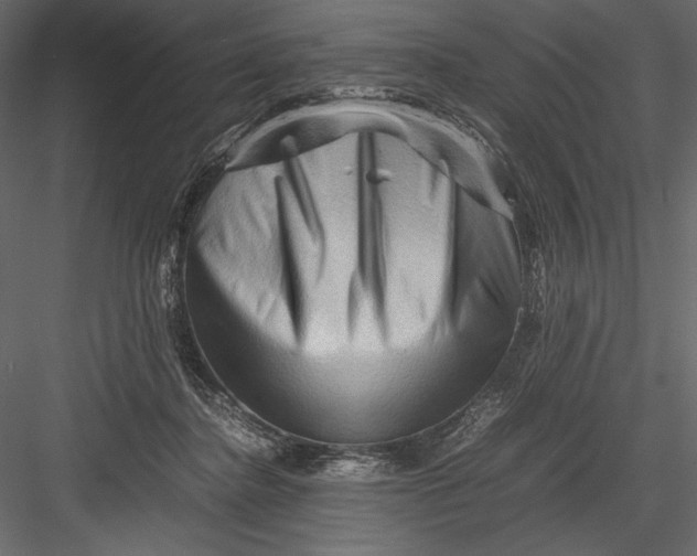 X0000082950364200702222319